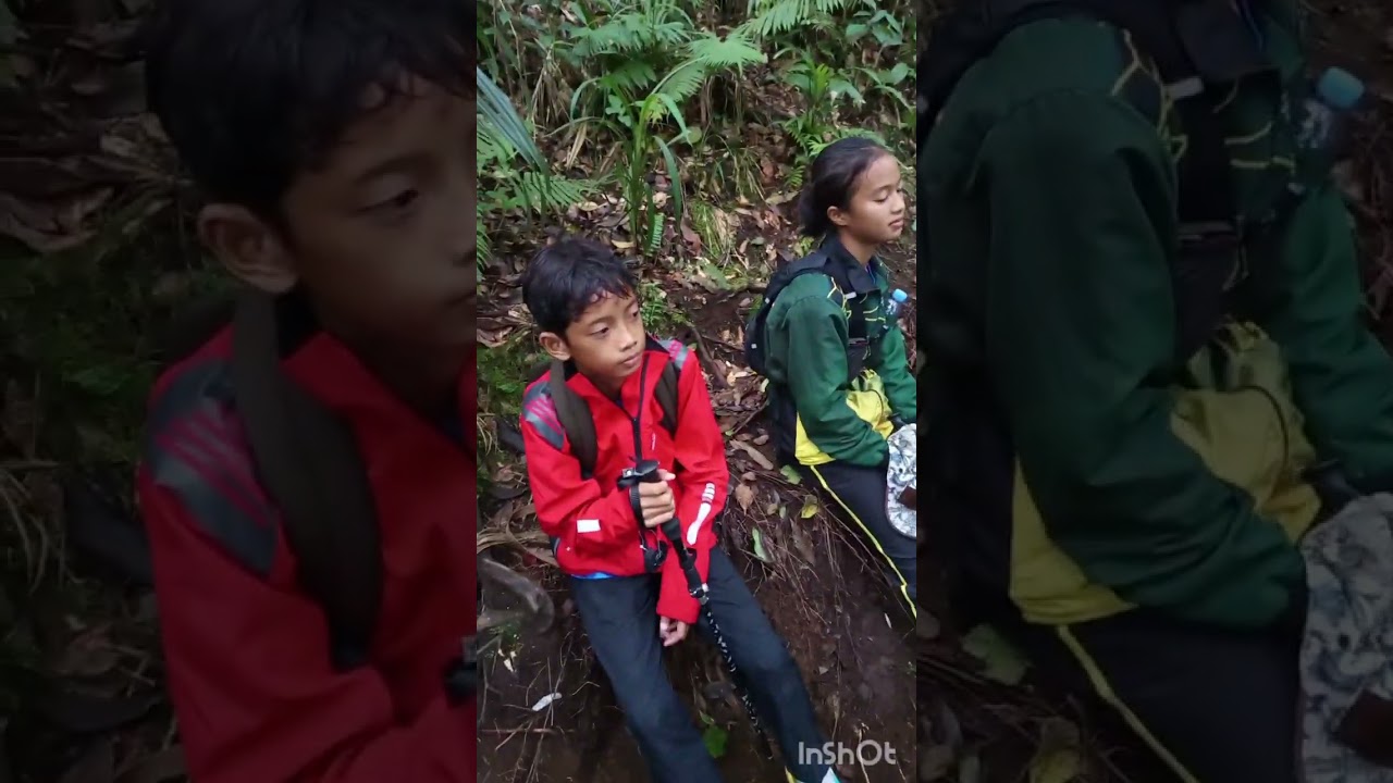 Gunung wilis via jurang senggani. Jalur sensasi akar pohon