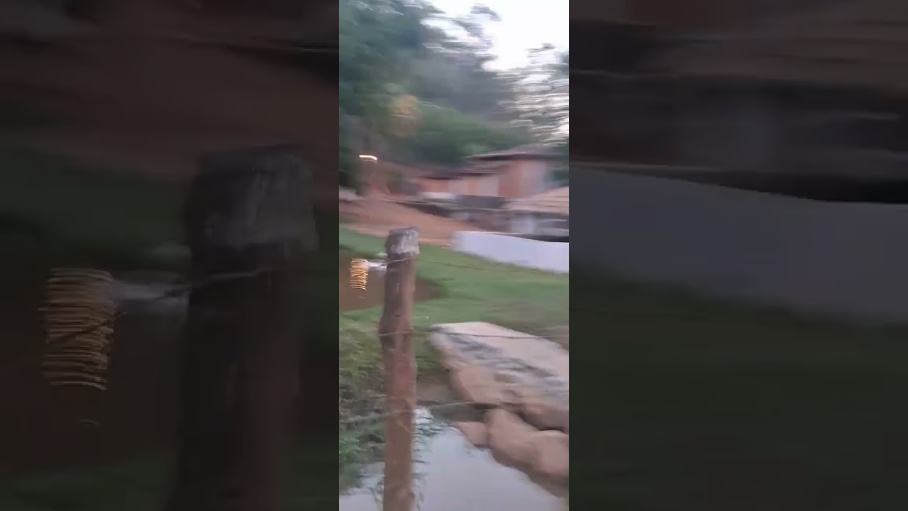 1 de fevereiro de 2026