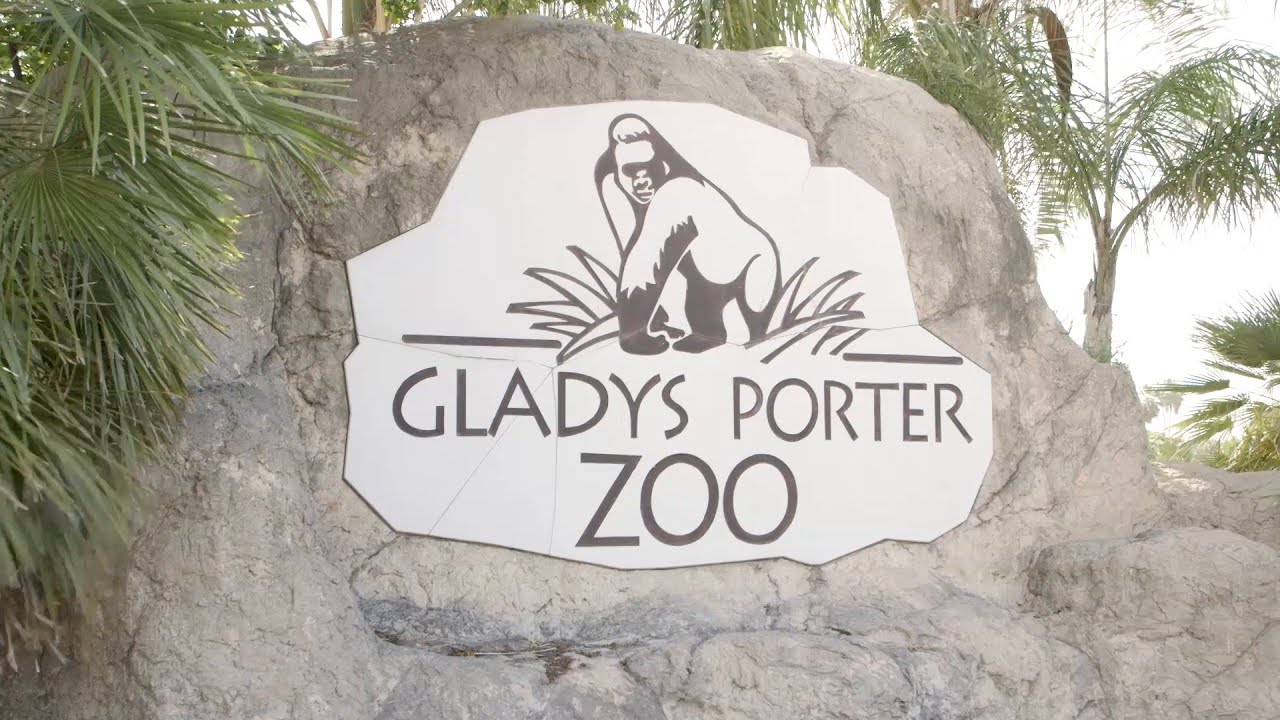 Gladys Porter Zoo