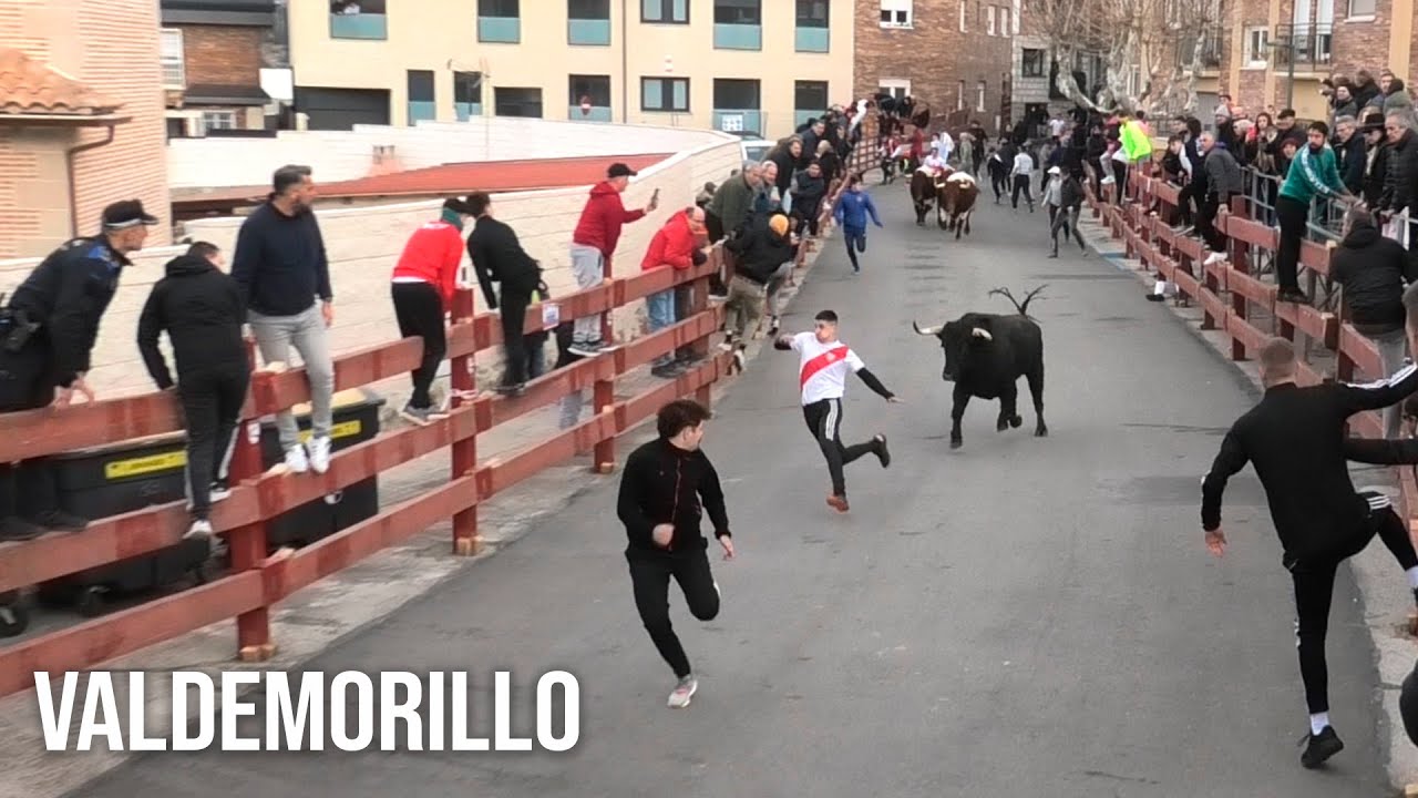 Valdemorillo 2025 Encierro y Capea