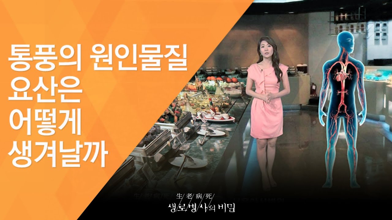 통풍의 원인물질 요산은 어떻게 생겨날까 - (2011.9.17_385회 방송)_바람만 스쳐도 극심한 고통, 통풍