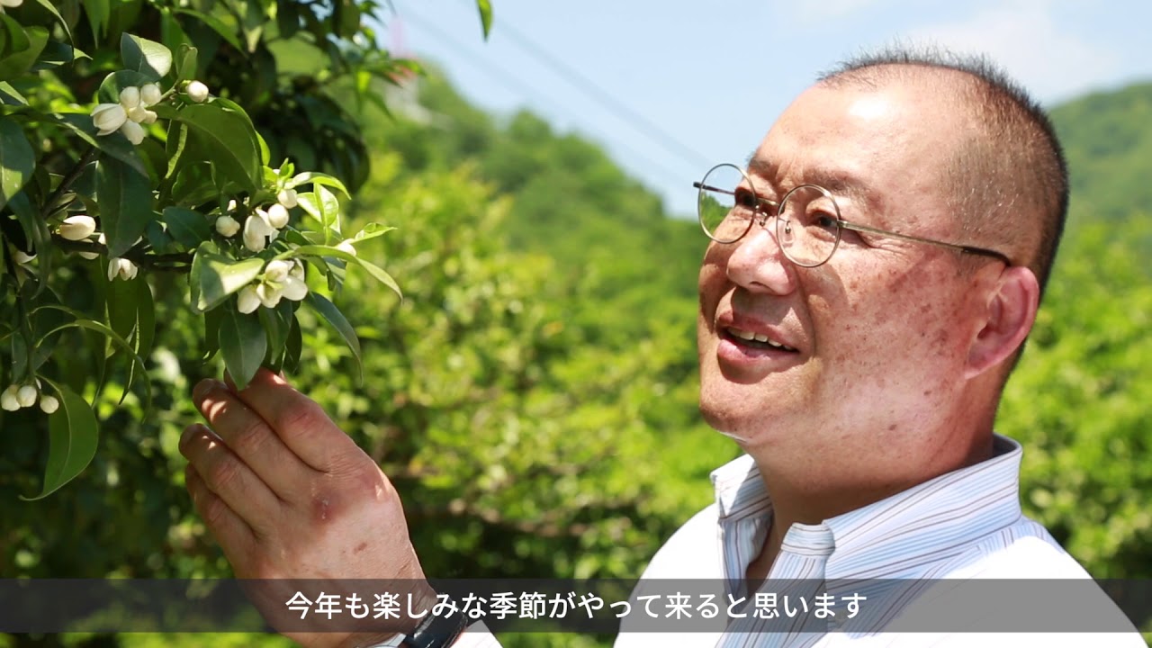 川根柚子協同組合長　ゆずへのこだわり