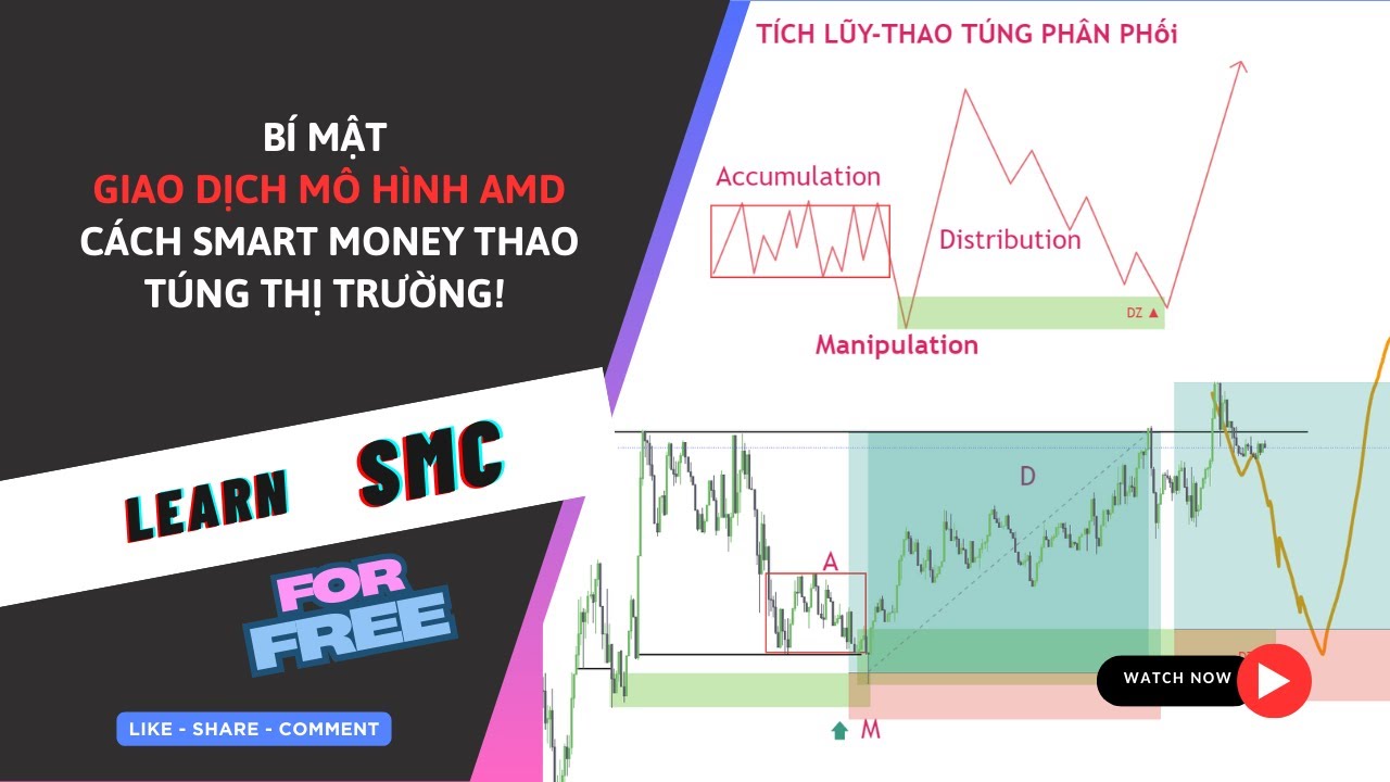 B&iacute; Mật Giao Dịch M&ocirc; H&igrave;nh AMD - C&aacute;ch Smart Money Thao T&uacute;ng Thị Trường