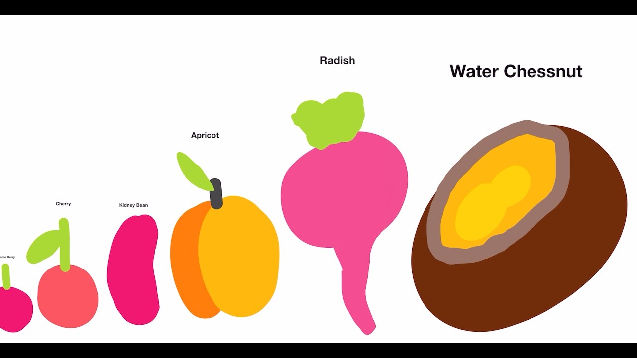 Infinite Zoom Art Fruit And Vegetables Size Comparison by Pecho #endlesspaper