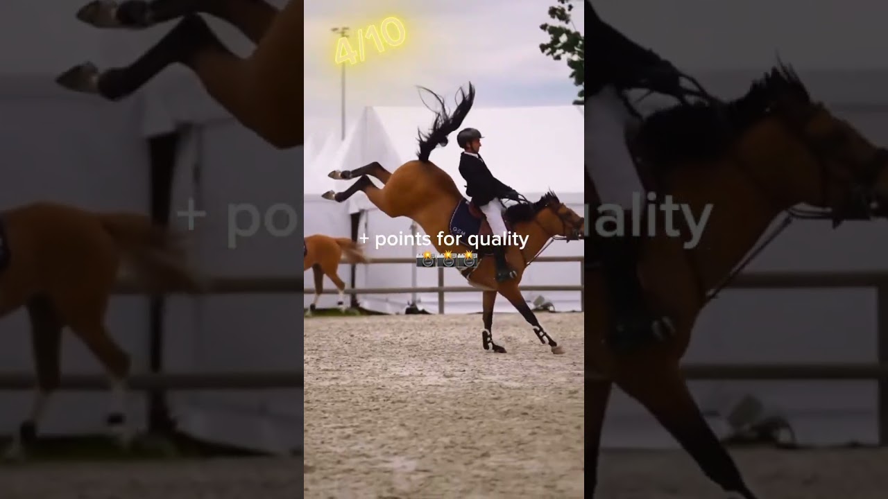 Rating failss! #horse #equestrain #horsefail #horseriding #horselover #sport #funny #fypシ゚