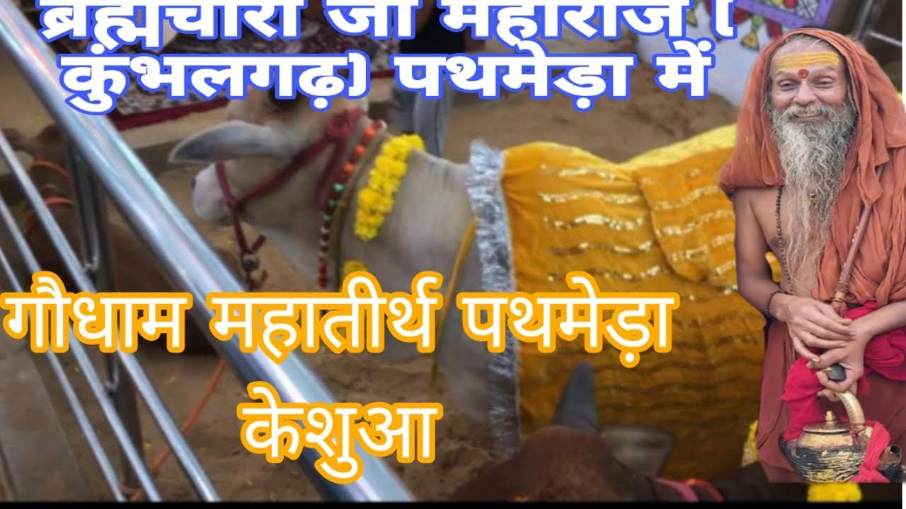पथमेड़ा में आए कुंभलगढ़ के ब्रह्मचर्य जी महाराज पथमेड़ा केशव श्री केसुआ pathmeda kesua #pathmeda