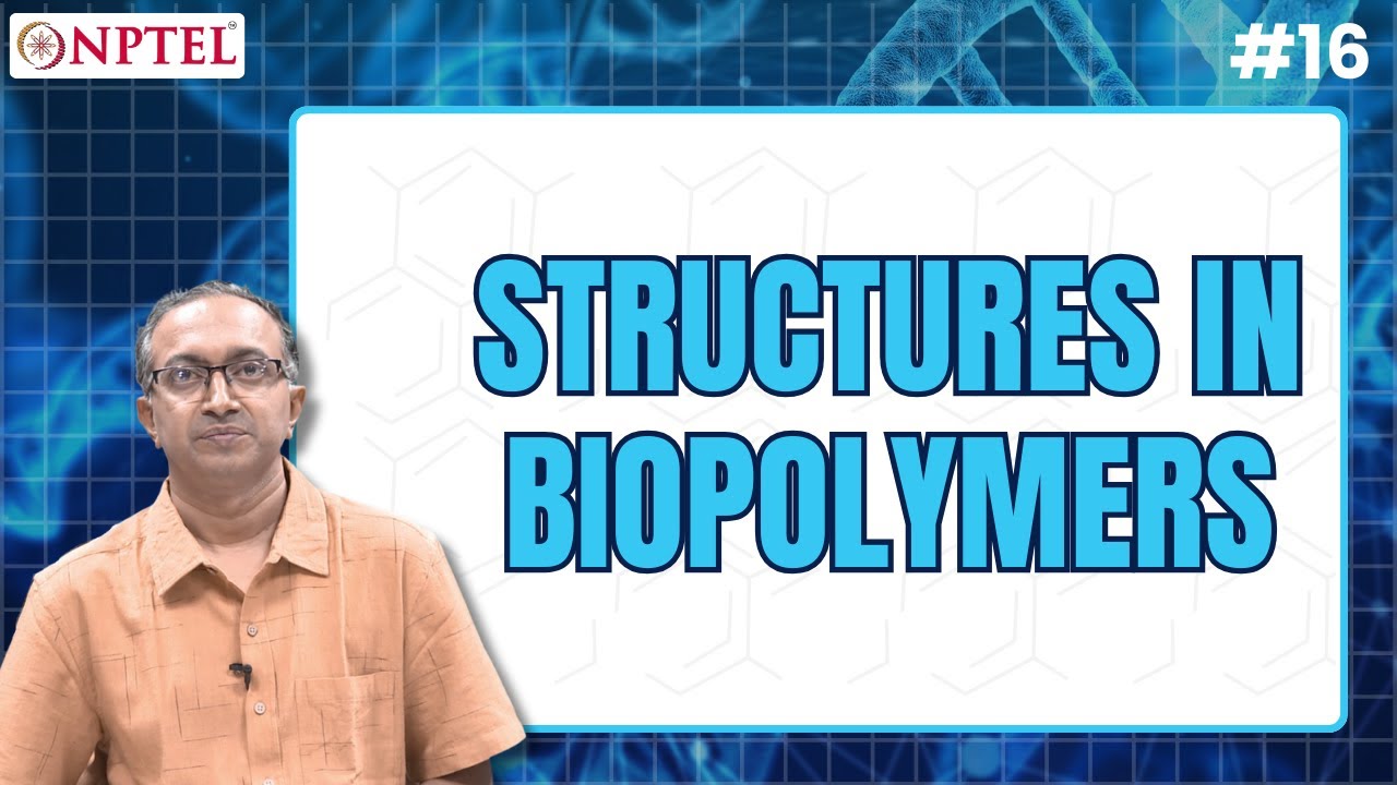#16 Structures in Biopolymers | Polymers Concepts, Properties, Uses & Sustainability