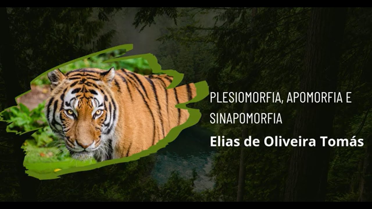 Conceitos básicos de evolução: Parte 2 #biologia #evolução  #educação 