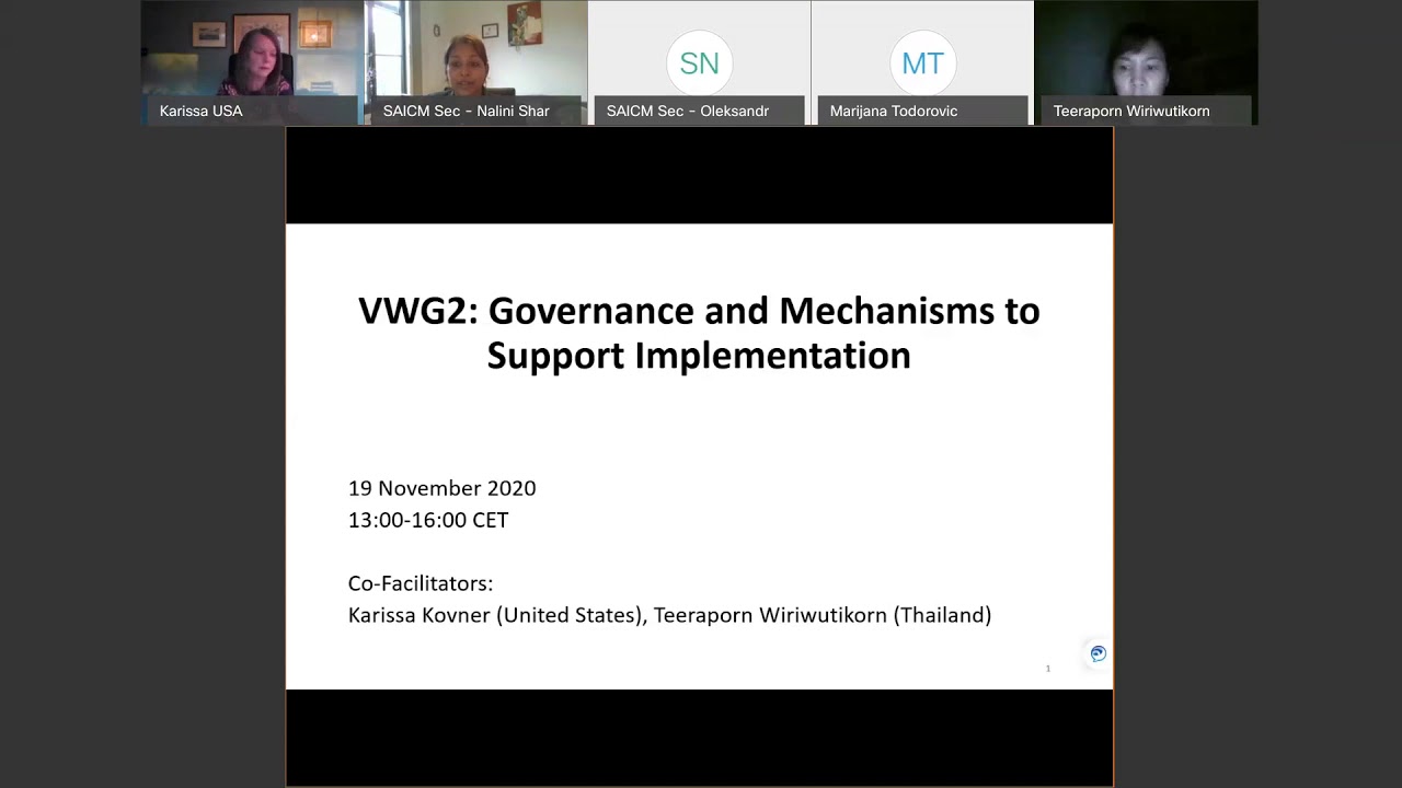 VWG 2 (TB 3) on Governance and implementation - 3d Session, 19 November 2020