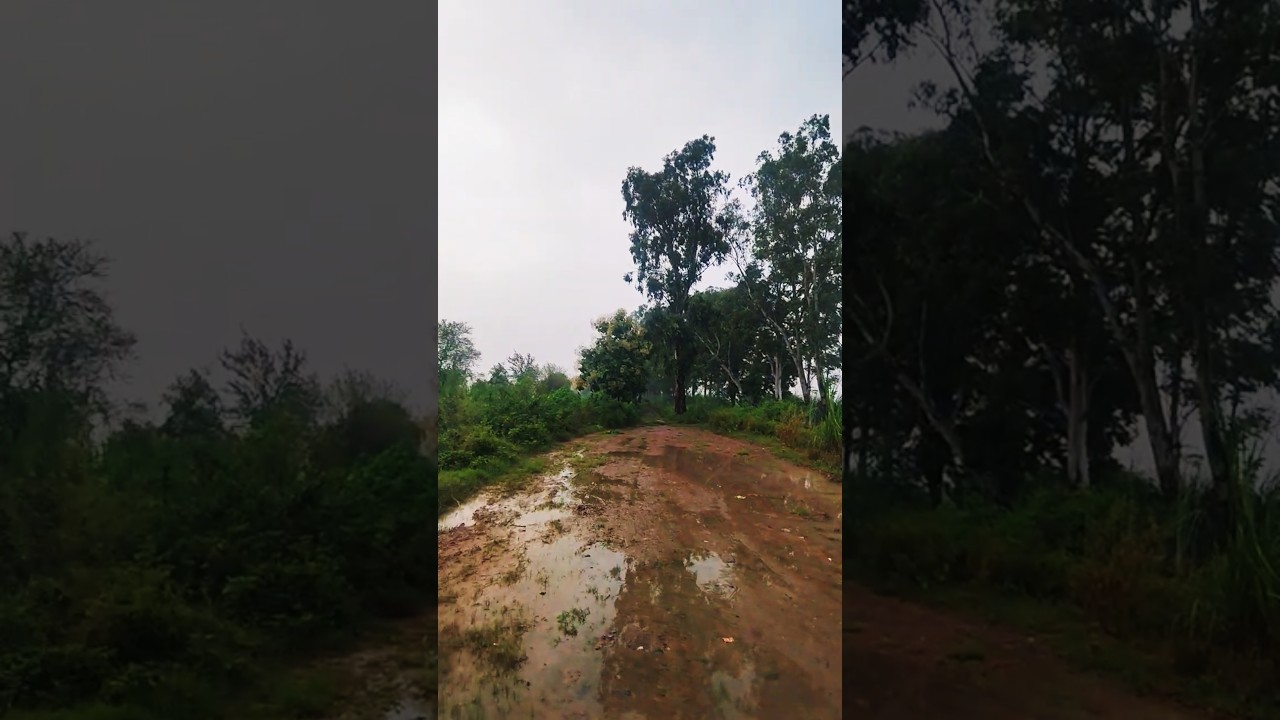 Barish ke baad Gaon ki subah ka weather ☁️⛈️🌧️