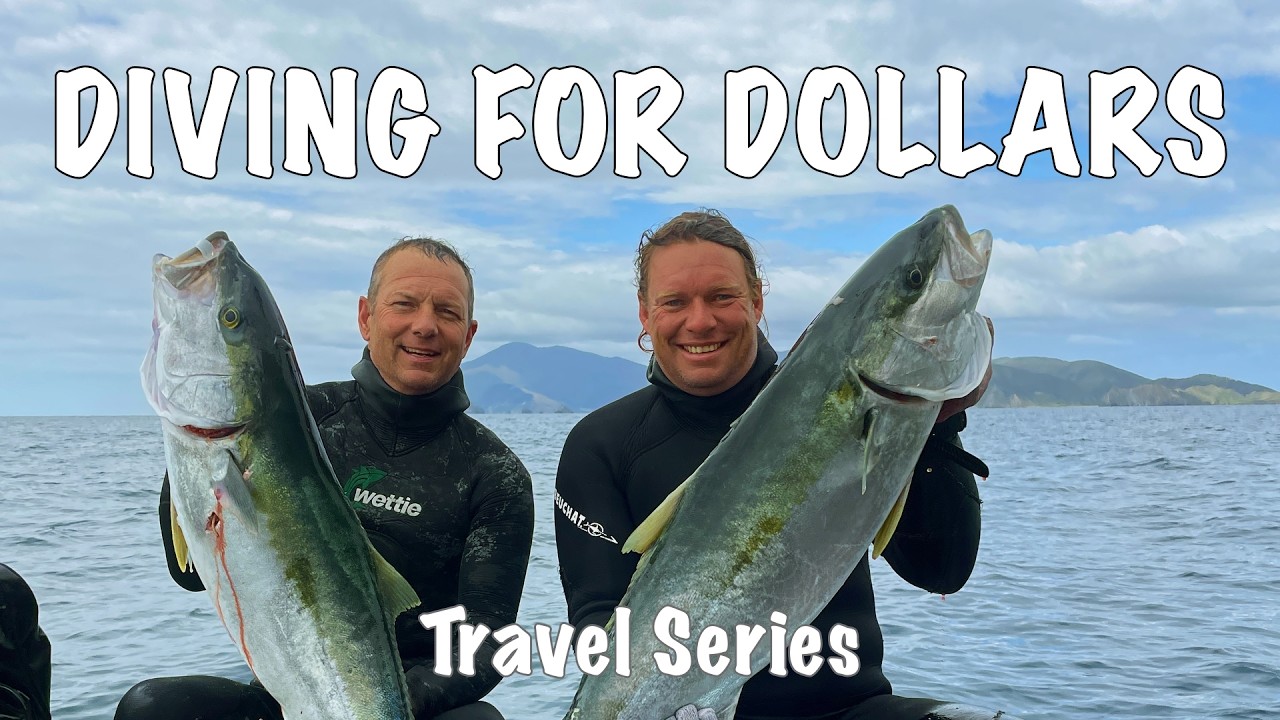 Spearfishing Kingfish for Top Restaurants & Luxury Lodges of NZ
