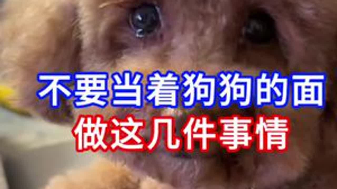 千万不要当着狗狗的面做这几件事情 #狗狗 #狗狗的日常 #养狗经验分享 #新手养狗 #养狗人