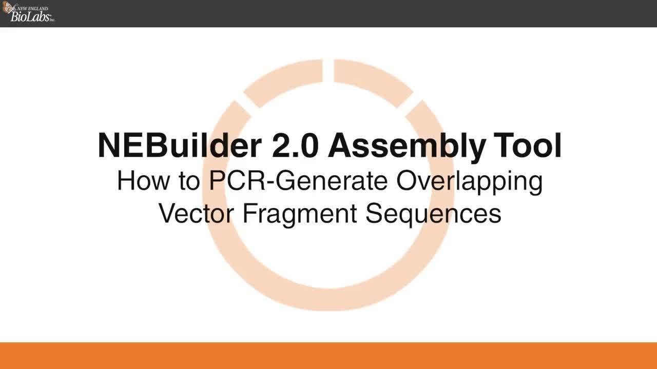 NEBuilder Assembly Tool 2.0 Fragments Amplified by PCR