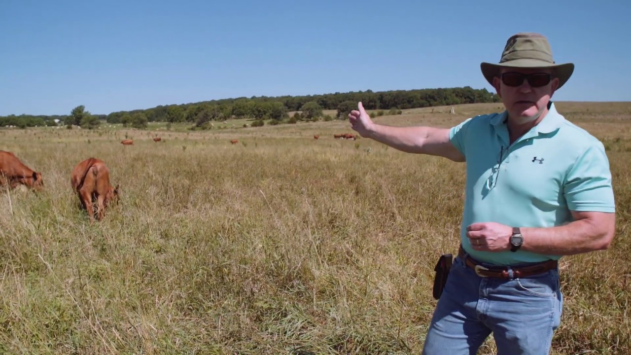 Основы адаптивного выпаса: как обеспечить животным доступ к воде