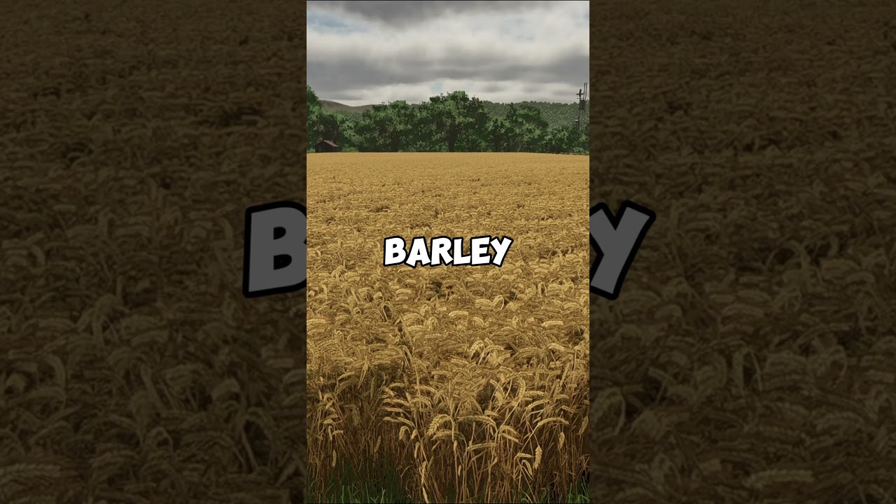 FS25 Pig Feed Guide & PROFIT Strategy!!!