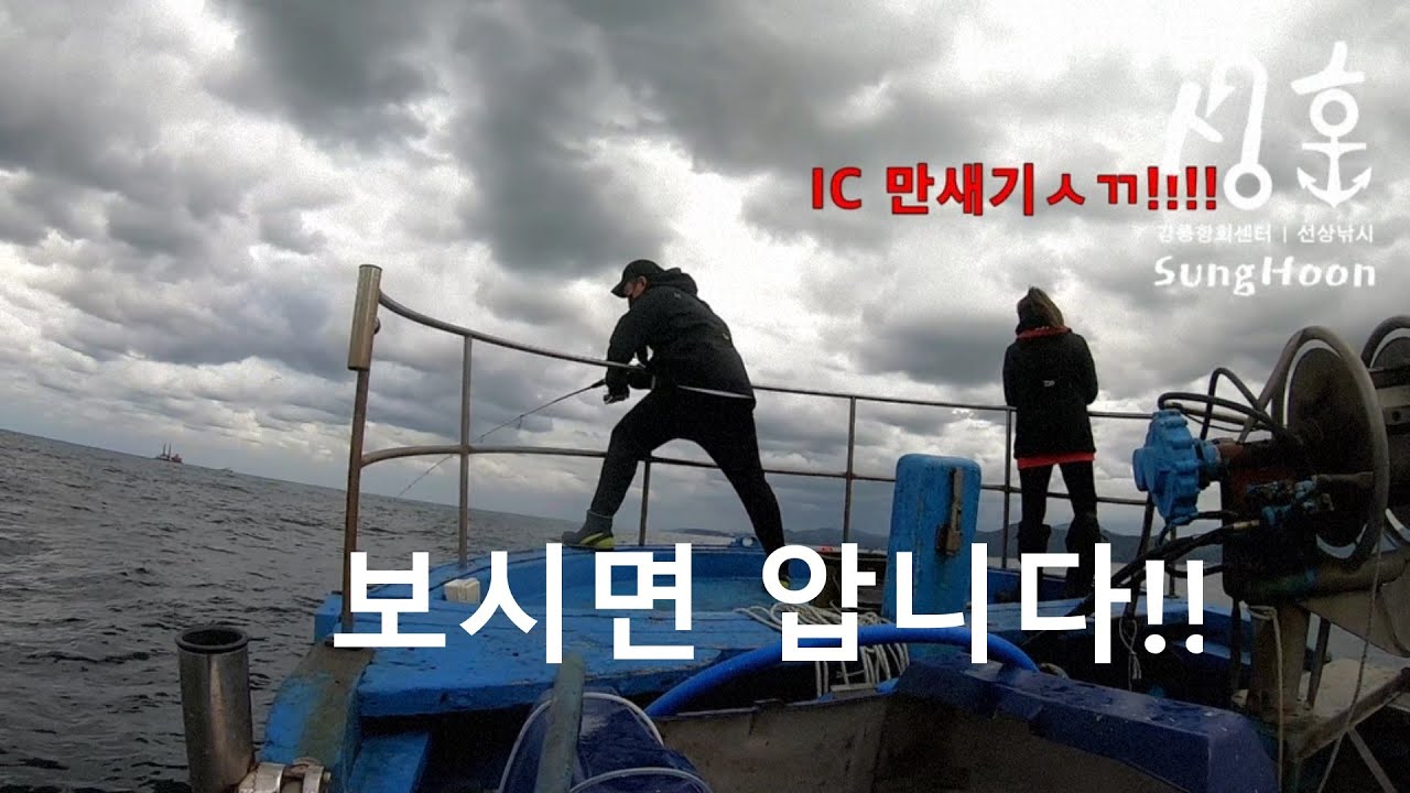 강릉 배낚시 성훈호 - [211012화] (오후) 참치낚시, 회유성!!