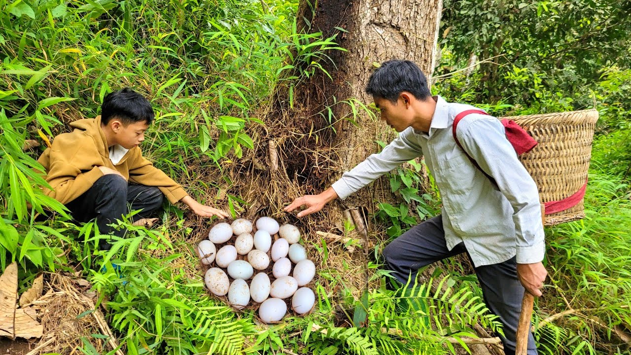 Đạt followed Uncle Hưng into the forest to gather food and collect chicken eggs.