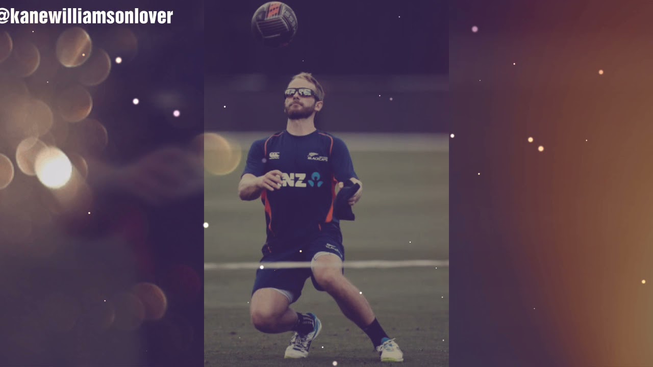 |kane Williamson WhatsApp status song in hindi tere hi sapne andhero me ujalo me |