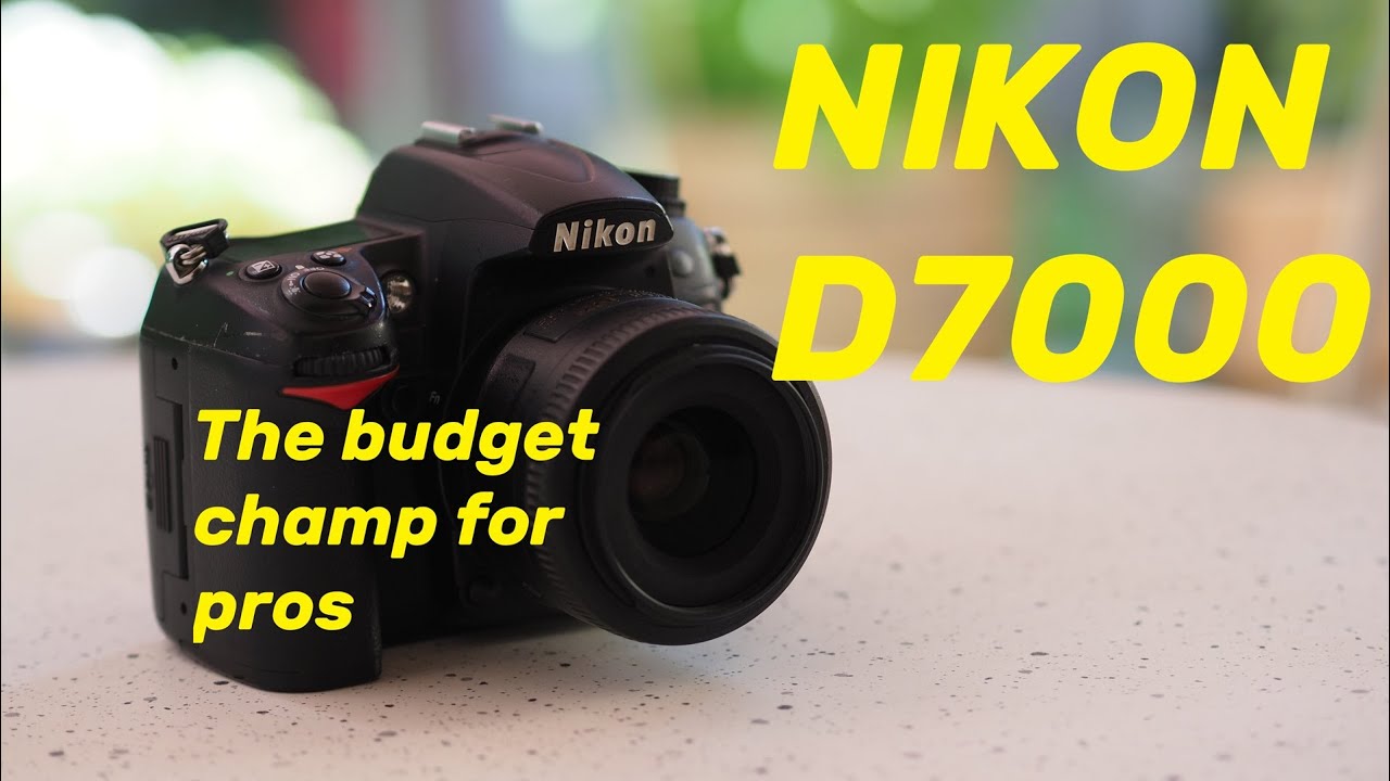 Краткий обзор Nikon D7000: бюджетный вариант для начинающих профессионалов