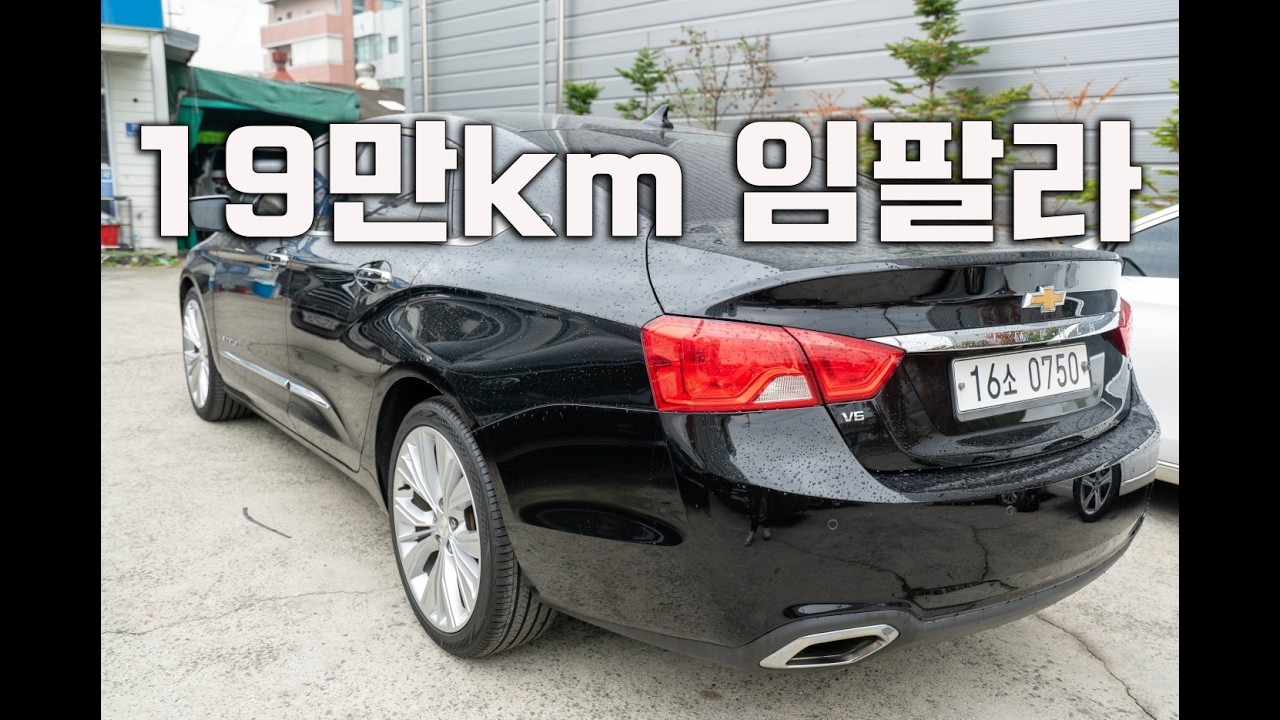 대구에서 만난 19만km 쉐보레 임팔라 3.6.