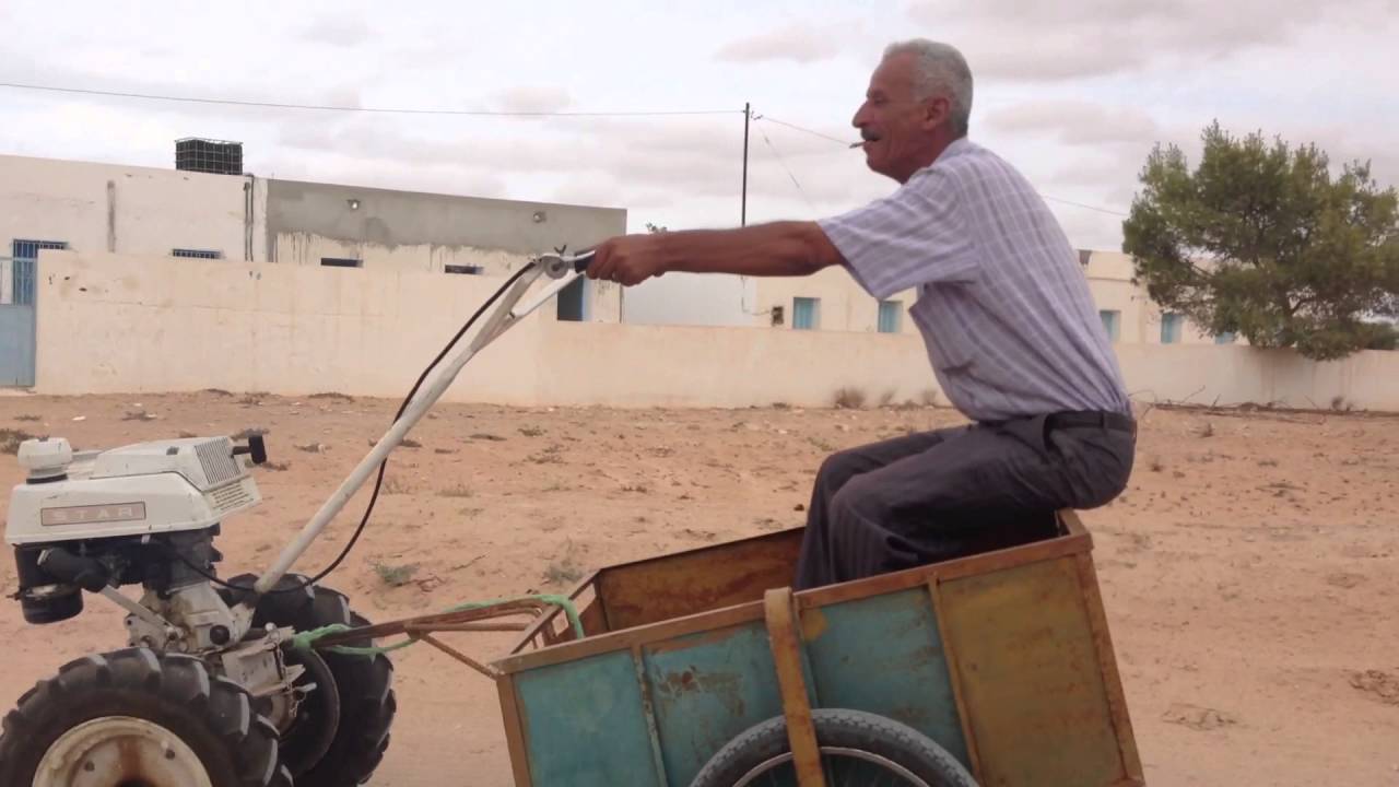 Ajim djerba