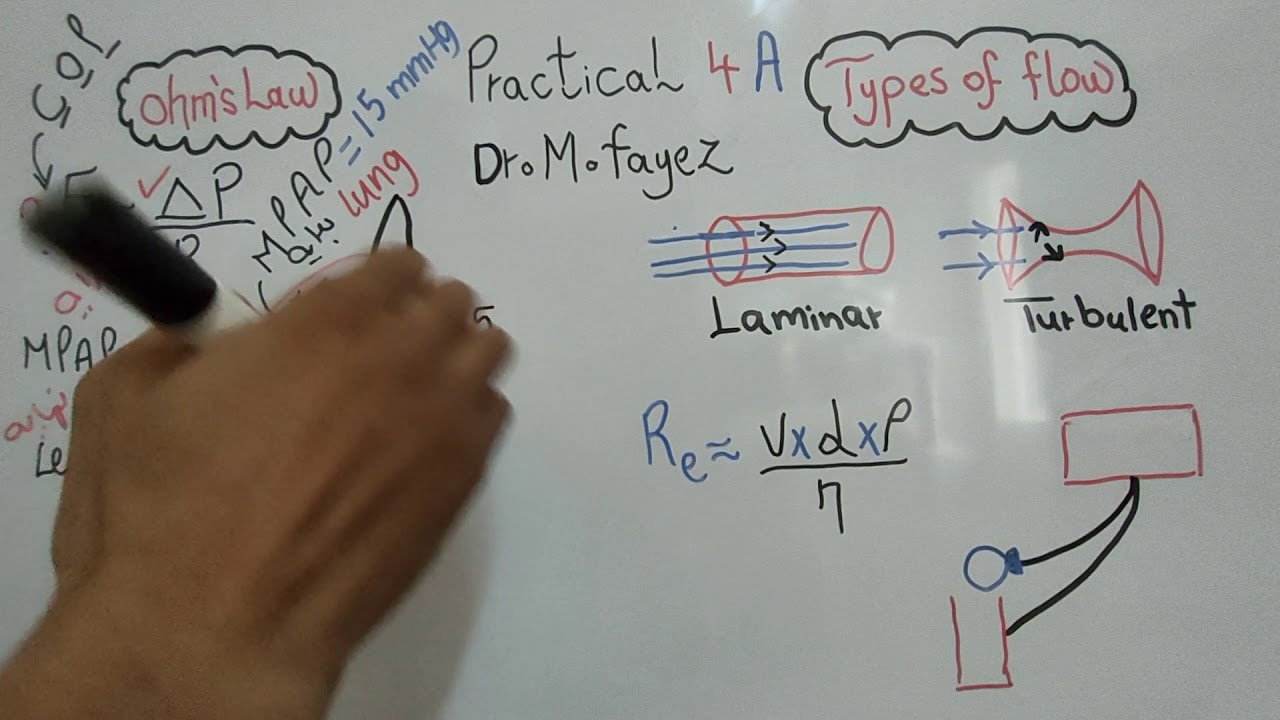 Practical 4 A (Hemodynamic Part 1) First year Dr Mohamed Fayez