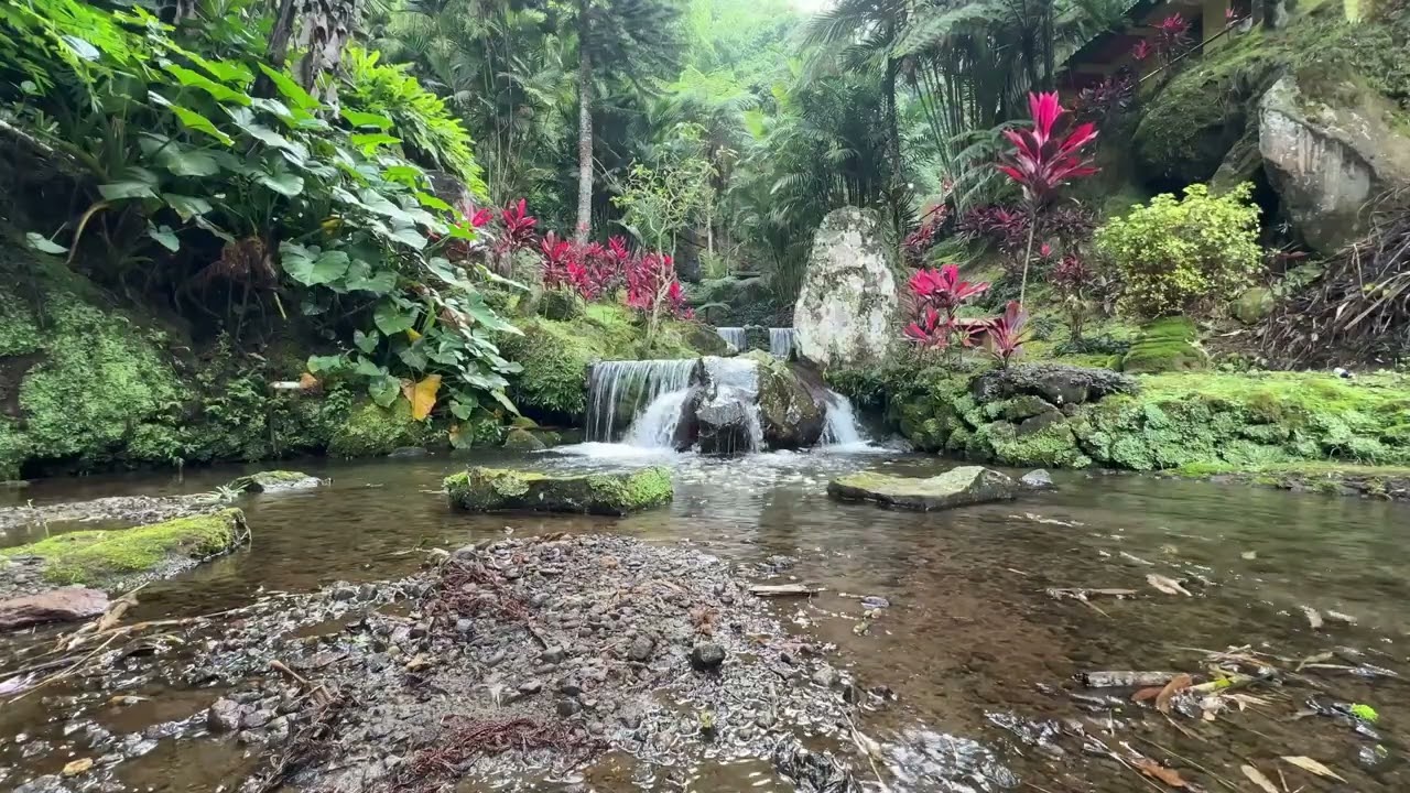 River Sounds for Focus and Concentration: Perfect for Studying and Working 
