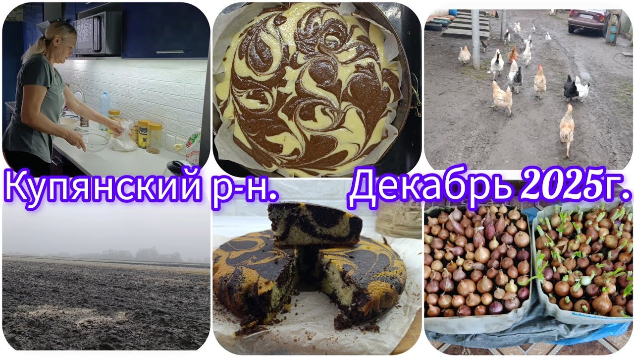 Наша жизнь в селе как есть!Манный пирог!🥧Сажаю лук на перо🧅