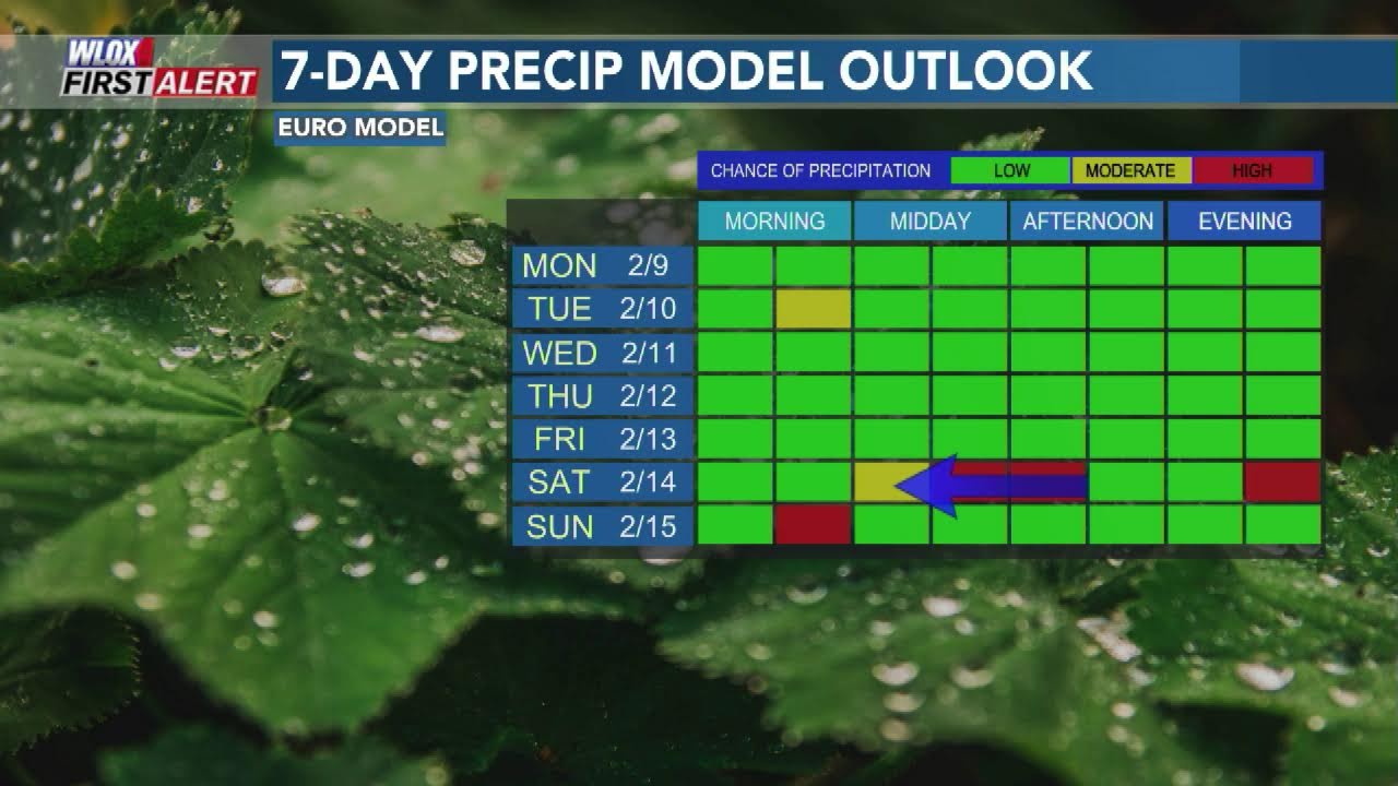 Waking Up with Wesley: Fog could cause issues during Tuesday morning commutes (2/9/26)