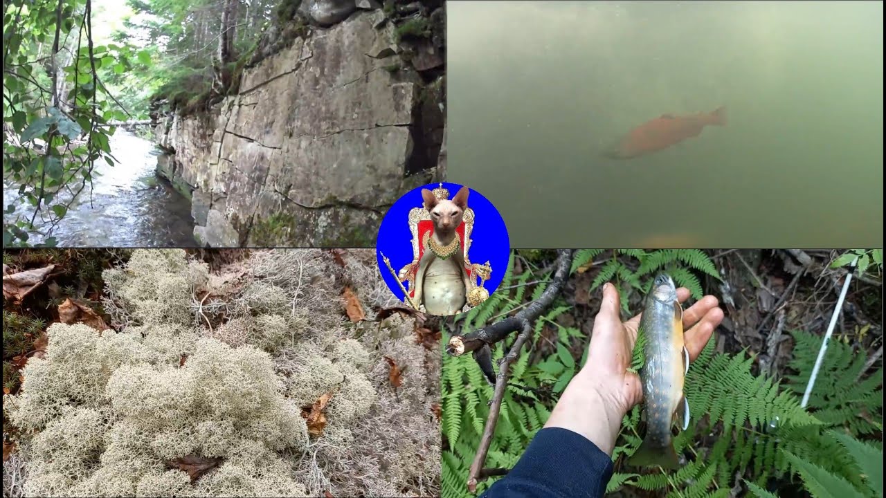 Поход, рыбалка, Белый ключ. Сахалин.