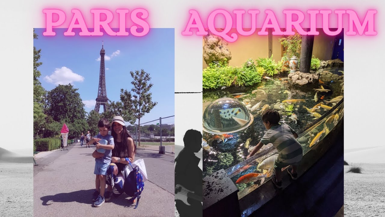 AQUARIUM sa PARIS + EFFEIL TOWER