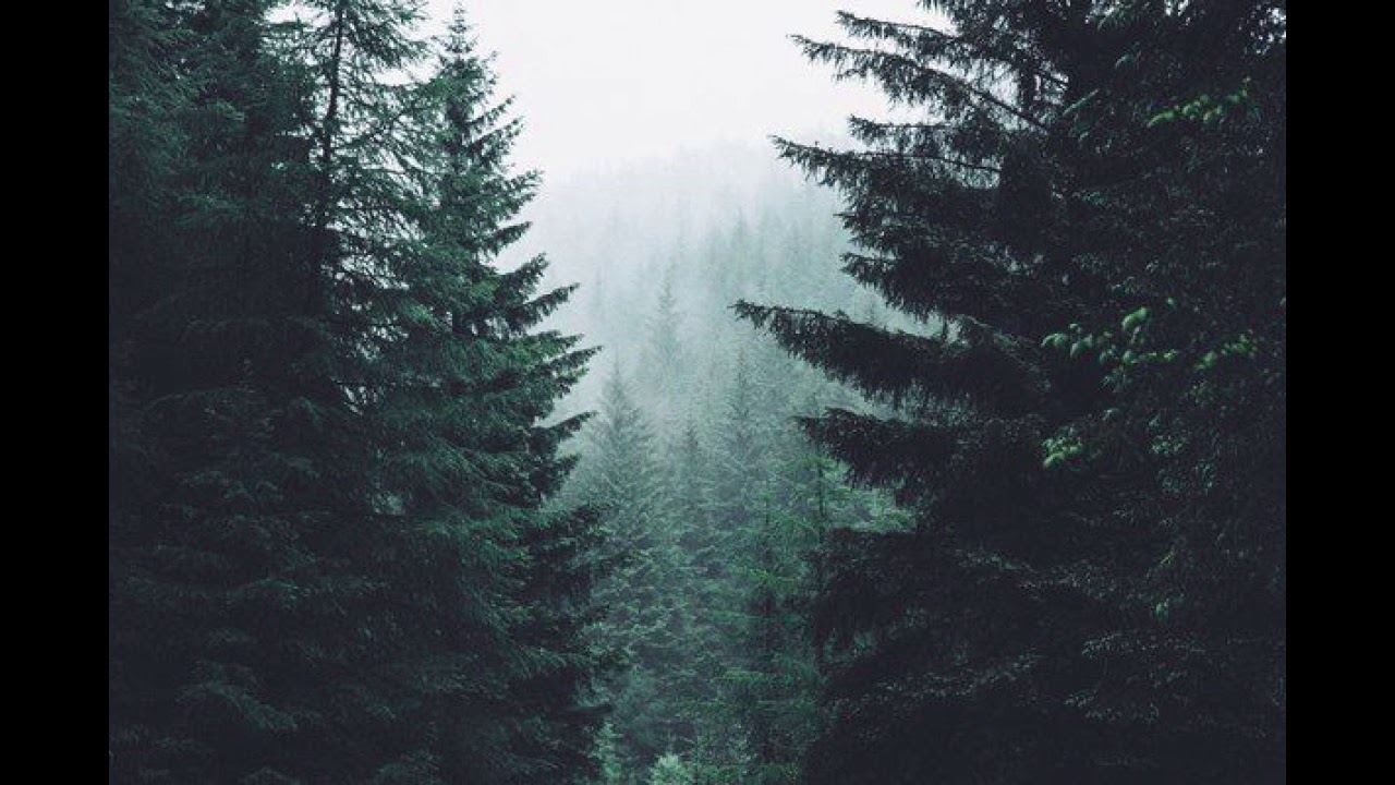 ATMOSPHERIC BEAT x AMBIENT x ORGANIC BEAT 2023 - 