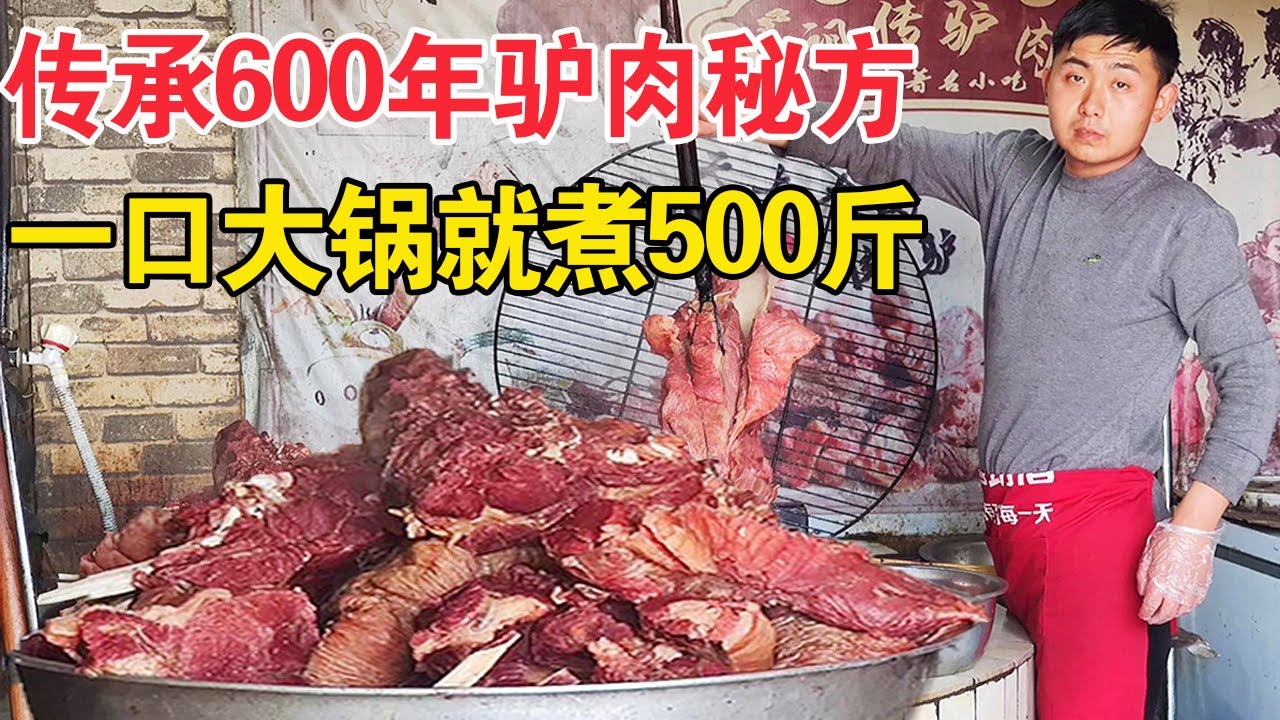 山东菏泽小伙卖驴肉，祖传事业已经做了600年，一锅就煮500斤，老汤是无价之宝【麦总去哪吃】