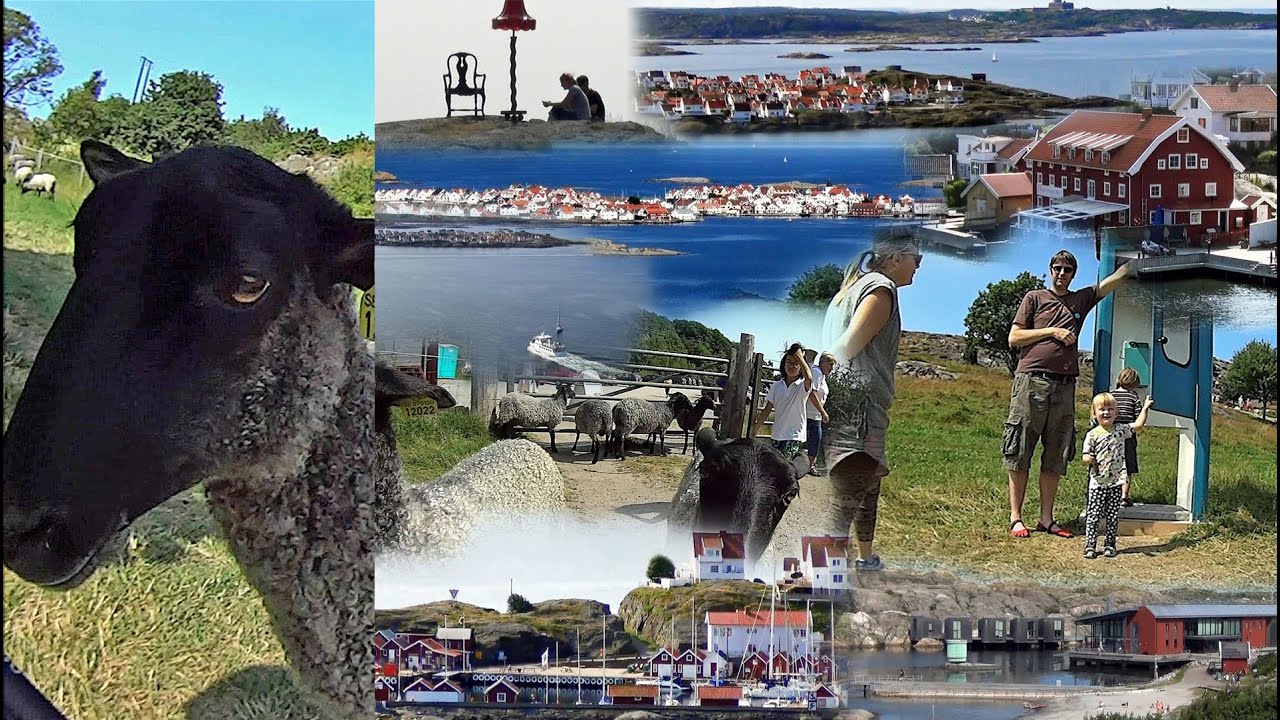 Sommar på Tjörn - sköna scener från västra delen av ön