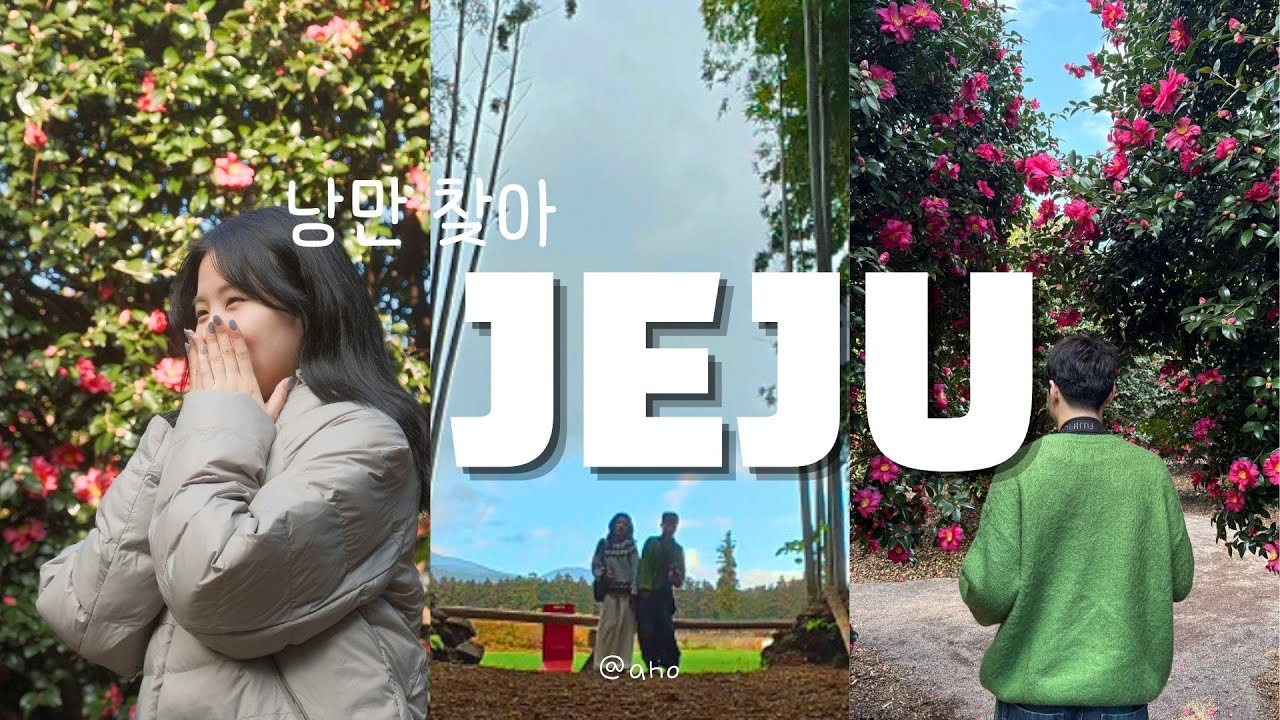 사진 잘 찍는 남자랑 겨울 제주 가면 생기는 일 | 겨울 제주 여행 , 대한목장과 동백포레스트