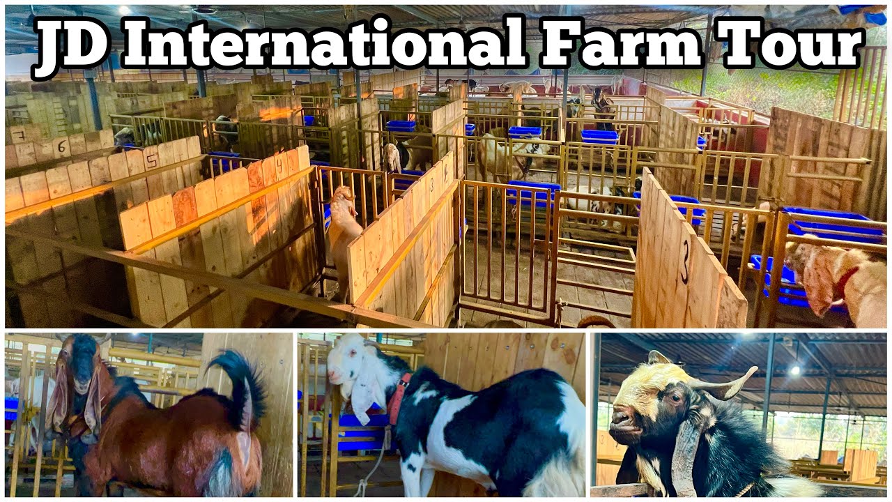 JD International Goat Farm Tour November 2023