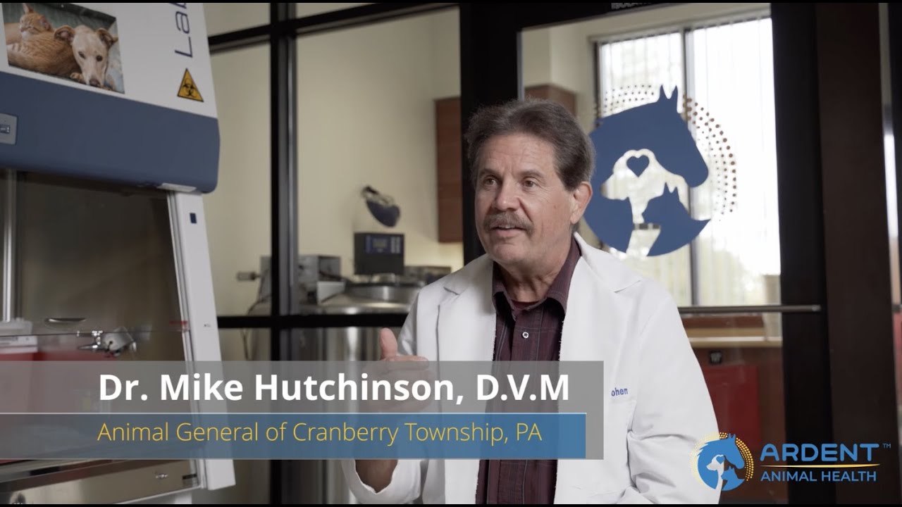 Why Ardent Animal Health?