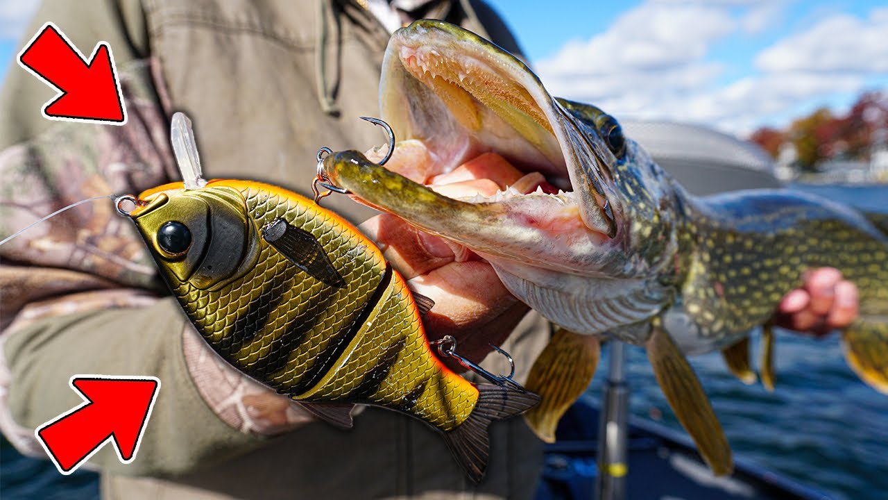 This GLIDE BAIT Catches BIG FISH: Glide Bait Fishing Tips