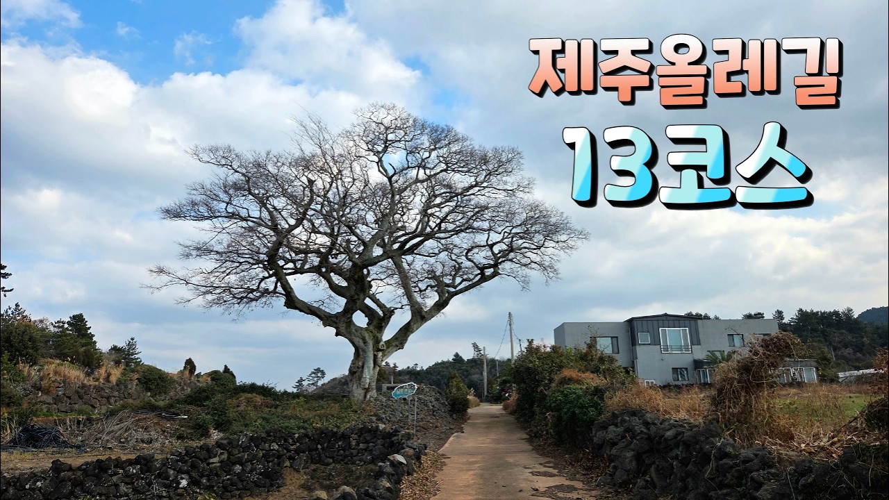 다양한 길들과 저지오름을 가게 되는 코스입니다! Walking the Jeju Olle Trail #제주올레길13코스 #올레길13코스 #제주올레길 #올레길 #올레길걷기 #걷기여행
