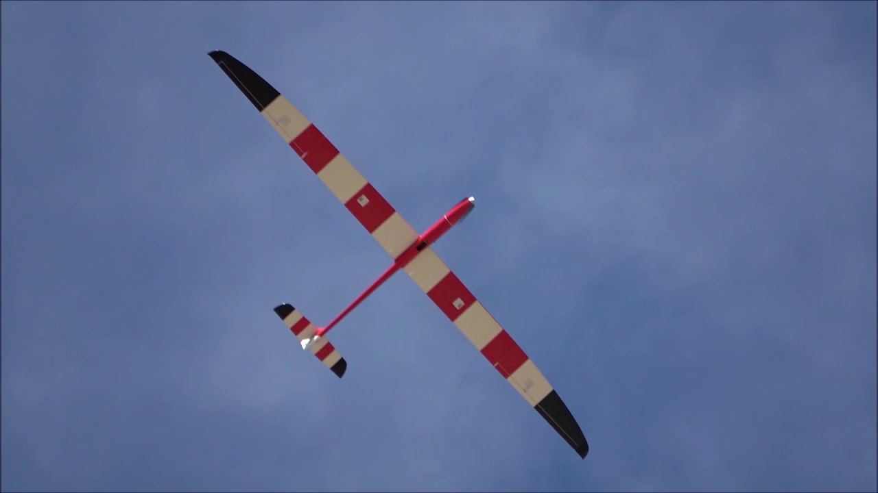 Epsilon XL3, 4m RC glider, sharing thermals with vultures
