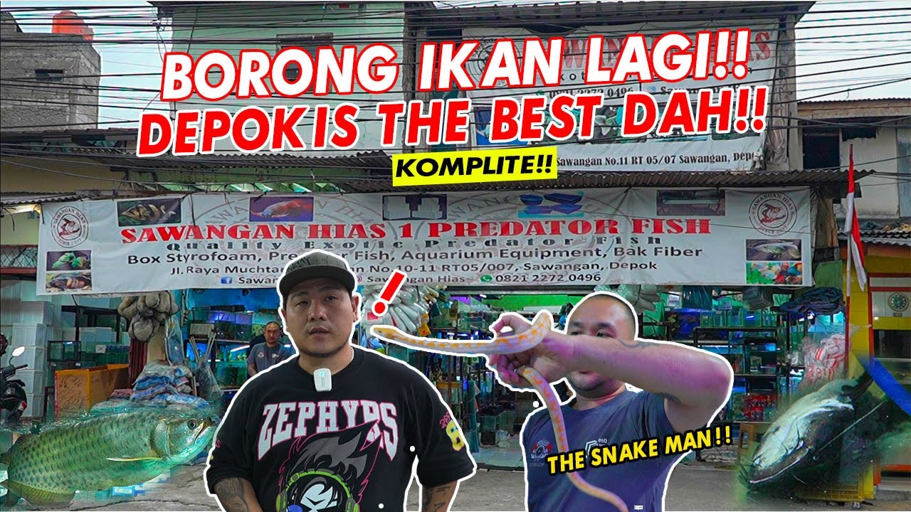 BORONG LAGI!! TOKO IKAN HIAS PINGGIR JALAN ADA IKAN JUMBO, LENGKAP DAN MURAH AUTO BORONG!!