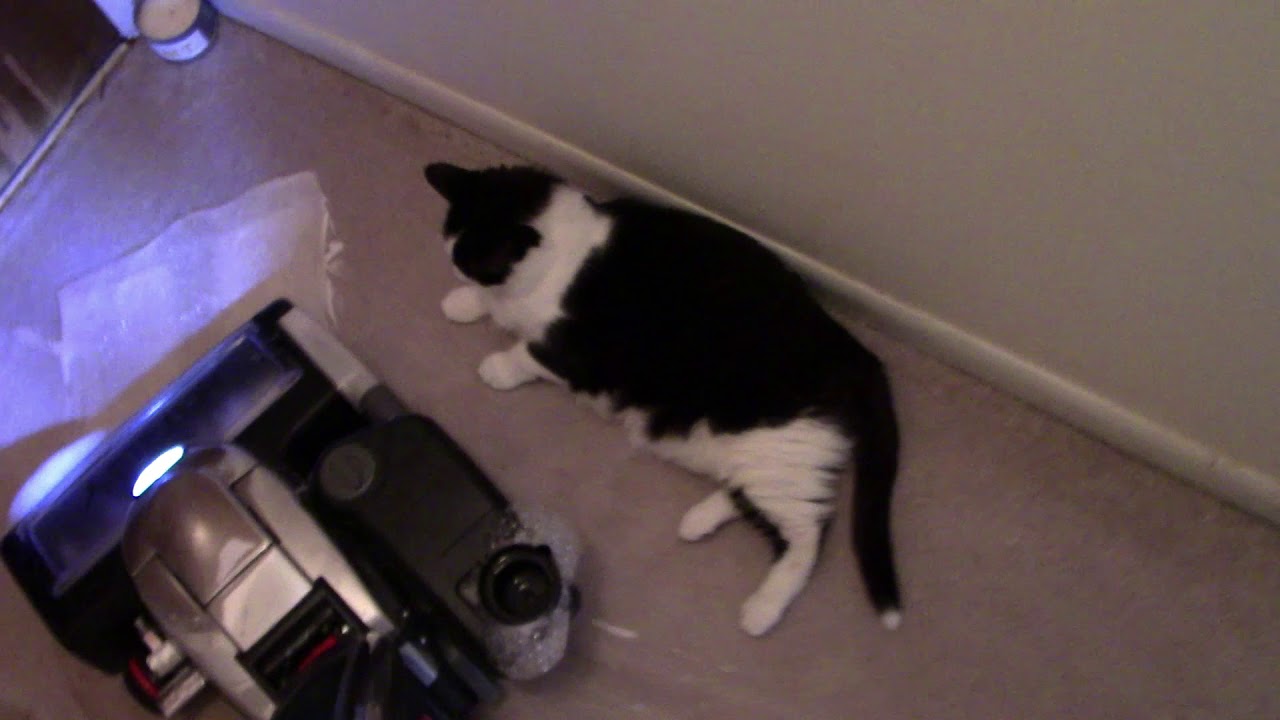 FULL HOUSE VACUUMING AND SHAMPOOING WITH THE KIRBY AVALIR 2