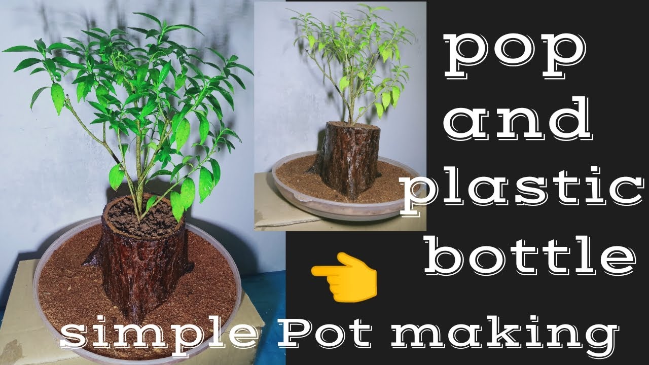 How to make Plaster of paris plant pot/Best of waste