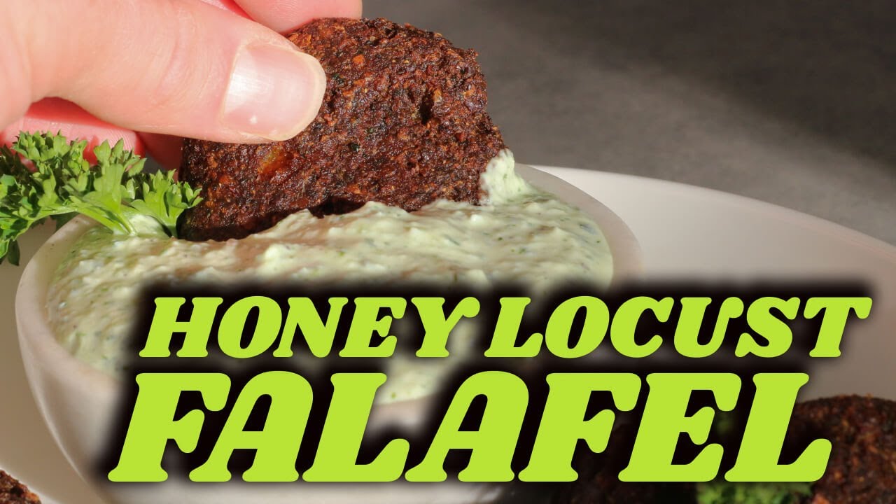 Foraging Honey Locust Beans to Make Falafel (Part 3): From Fabaceae to Falafel