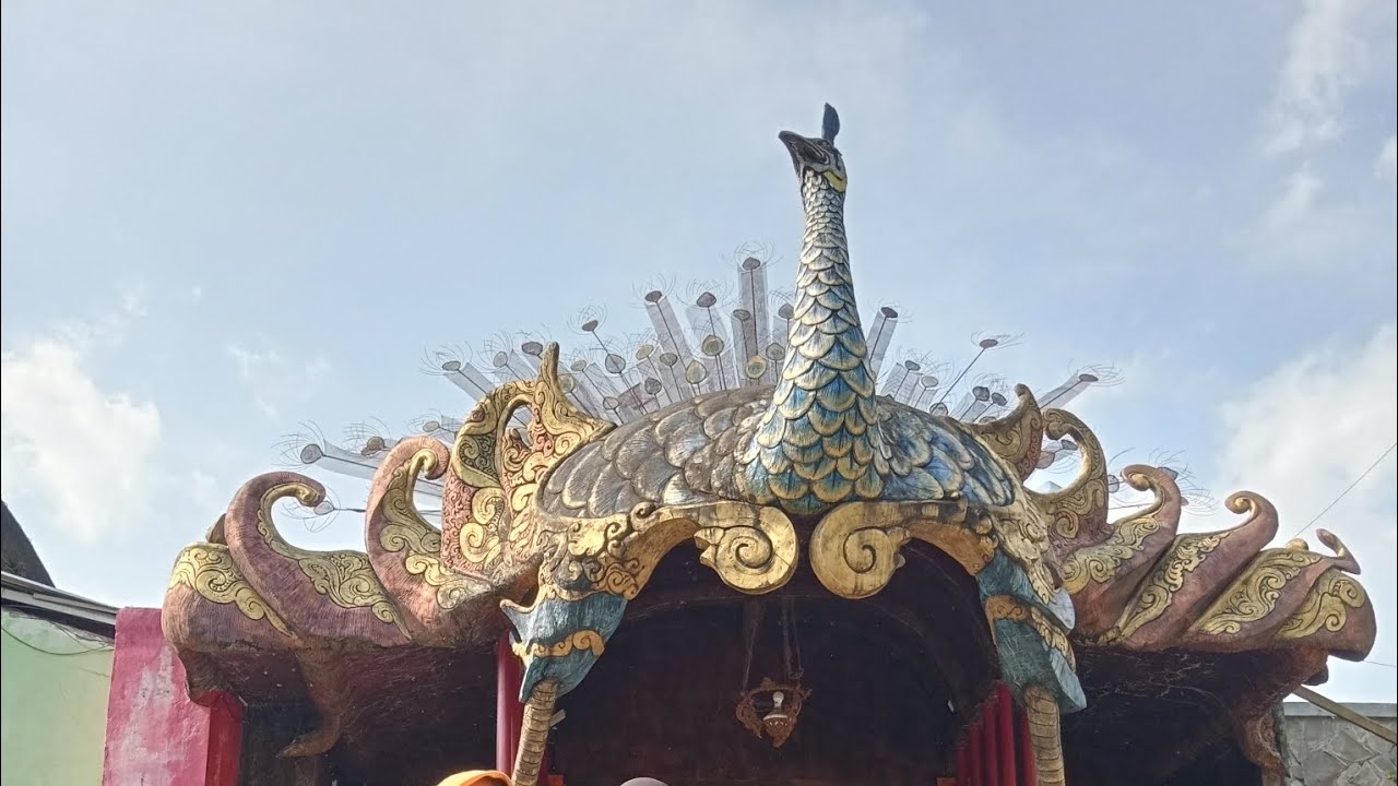 Omay Happy liat burung2.zia sma shaan juga Happy