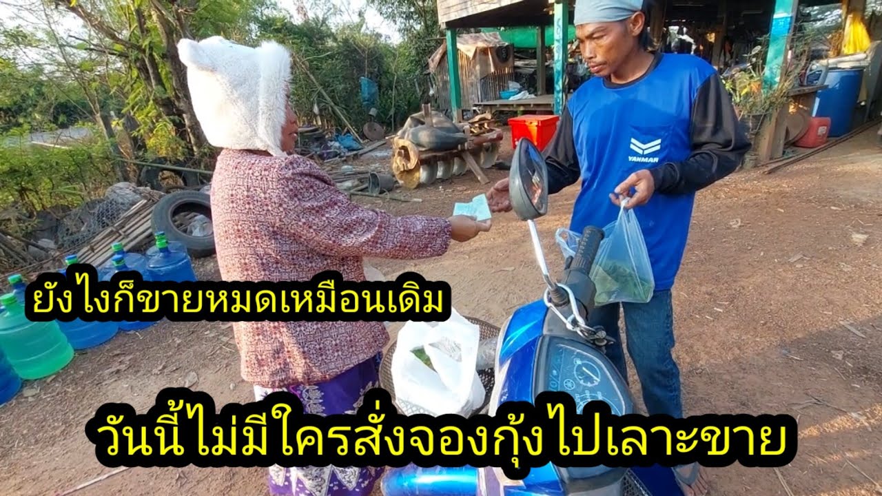 วันนี้ ไม่มีใครสั่งจองกุ้งไปหาขาย ตามหมู่บ้าน ได้ 120บาท#จิตอาสา 
