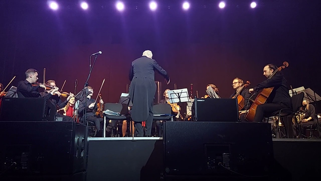 IP Orchestra - Районы-кварталы (Звери)