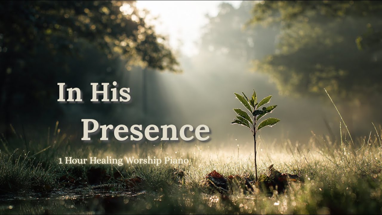 【1 Hour Healing Worship Piano】- PrayerFlow 🧡 Healing Calm｜Worship Piano / Serene / Prayer & Study