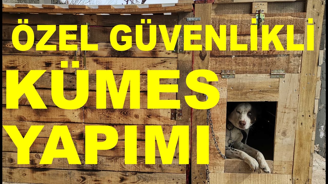 Paletten Çift Kapılı Özel Güvenlikli Güvercin Kümesi Yapımı