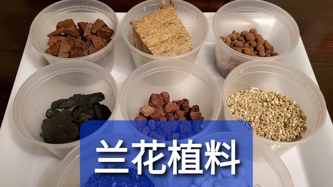 关于兰花的植料，怎么用？哪里买？